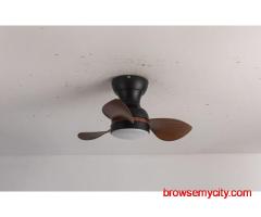 Find the Best Creative Designer Ceiling Fan