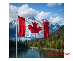 Cougar Immigration – Professional Immigration Services