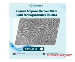 Adipose-Derived Stem Cell Culture Protocol Support