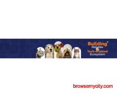 Pet Grooming Service - By ThePetNest