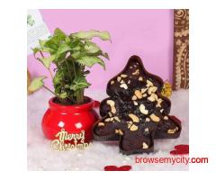 Send Christmas Gifts to Gurgaon – Affordable Christmas Gift Delivery in Gurgaon