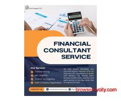 Foreign Company Setup Consultants