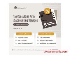 Foreign Company Setup Consultants