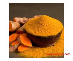 Sattvaya – Leading Turmeric Exporter from India | Premium Quality