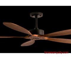 Eagle Ceiling Fan with LED Light