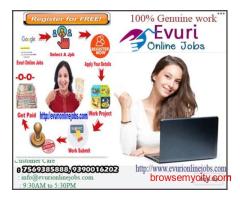 Globally Renowned Flexible Easy Data Entry Job