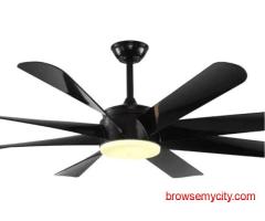 High Premium Visual Appeal Designer Fan