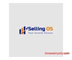 Reliable Ecommerce Account Management Solutions for Businesses
