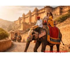 Elephant Ride In Jaipur A Royal Experience with Elejungle
