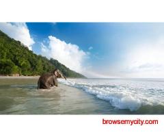 Andaman and Nicobar Package – Tropical Travel Made Easy