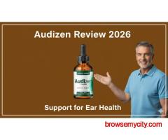 Audizen Review 2026