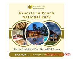 Resorts in Pench National Park – Book Your Jungle Stay Today