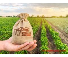Affordable Tractor Loan Solutions for Modern Farmers