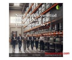 Need Bulk Essential Oils For Sale for Your Business? Buy Wholesale with Confidence