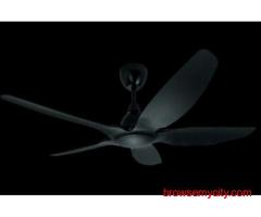 Best Price for Jackdaw Ceiling Fan