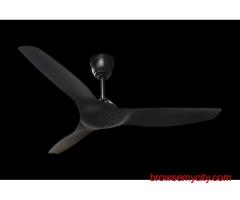 Black Swan Ceiling Fan Supplier