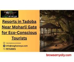 Resorts in Tadoba Near Moharli Gate for Eco-Conscious Tourists