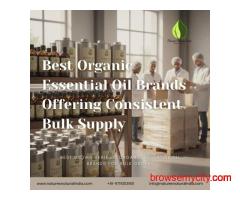 Best Organic Essential Oil Brands Offering Consistent Bulk Supply
