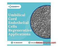 Umbilical Cord Endothelial Cells:  Regenerative Applications