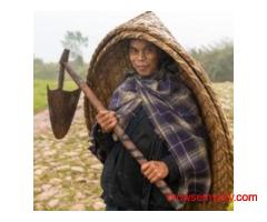Explore the Best North East Tour Package