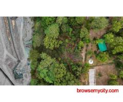 Bijrani Jungle Cottages – Forest Stay Experience in Jim Corbett
