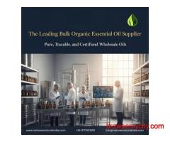 The Leading Bulk Organic Essential Oil Supplier: Pure, Traceable, and Certified Wholesale Oils