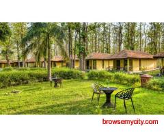 Holi Packages in Jim Corbett for a Peaceful Festive Escape