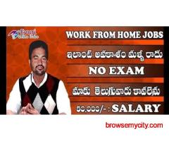 Full Time / Part Time Home Based Data Entry Jobs, Home Based Typing Work