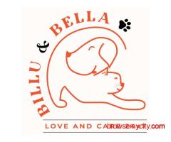 Billu & Bella - Pet Clinic in Dwarka, Delhi