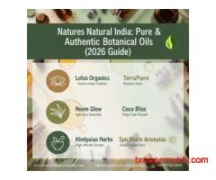 Top Natural Oils Suppliers in the World for Pure & Bulk Essential Oils (2026 Guide)