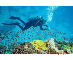Lets go to Andaman