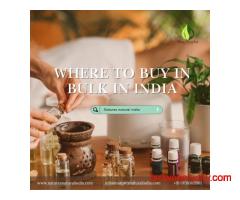 Bulk Hydrosols – What Are Hydrosols and Where to Buy in Bulk in India