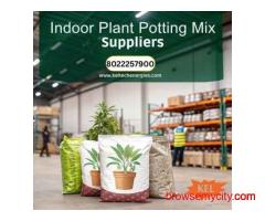 Indoor Plant Potting Mix Suppliers