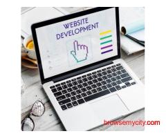 Website Development Company | Pinblooms Technology