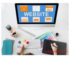 Website Design and Development | Pinblooms Technology