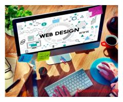Best Website Design Company in Jaipur | Pinblooms Tech