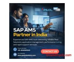 SAP AMS Partner in Bangalore | SAP Partner in Bangalore