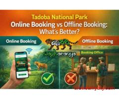 Tadoba National Park Online Booking vs Offline Booking: What’s Better?-