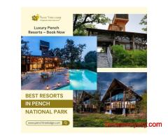 Best Pench National Park Resorts for Family and Couples