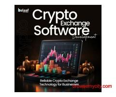 Customizable Crypto Exchange Systems for Businesses