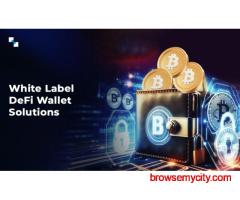 Develop white label Defi wallet solutions in no time: Hire Antier for a smarter move