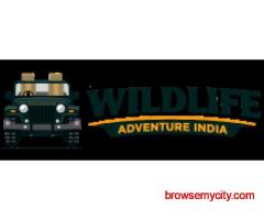 Discover the Wild Beauty of Tadoba National Park