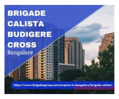 Brigade Calista Budigere Cross: Best Homes in Bangalore