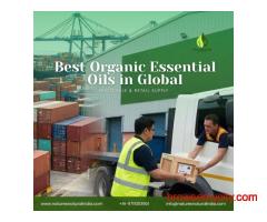 Best Organic Essential Oils in Ghaziabad | Wholesale & Retail Supply