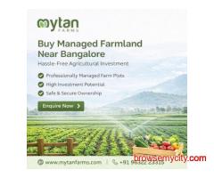 Buy Managed Farmland Near Bangalore – Hassle-Free Agricultural Investment