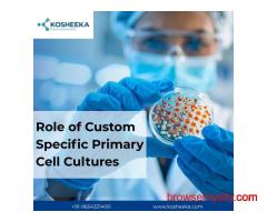 Role of Custom Specific Primary Cell Cultures