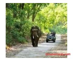 Corbett National  Park Package 2 Nights 3 Days