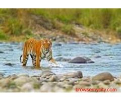 Corbett National  Park Package 2 Nights 3 Days