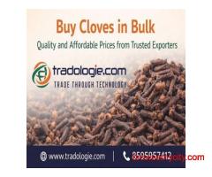 Buy Cloves in Bulk – Quality and Affordable Prices from Trusted Exporters