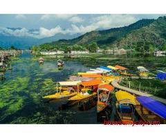 Srinagar Delights Tour  4 Nights